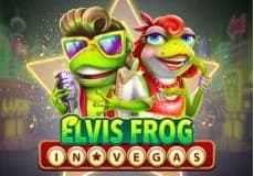 Elvis Frog In Vegas